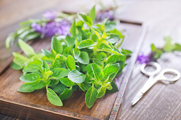 Image showing aroma herbs