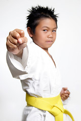 Image showing Karate Boys fist