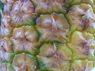 Image showing pineapple skin detail
