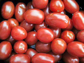 Image showing baby plum tomatoes