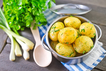 Image showing potato