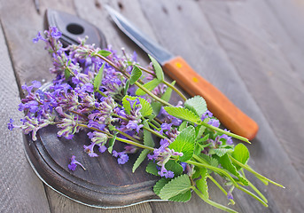 Image showing aroma herb