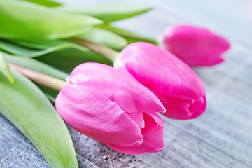 Image showing tulips