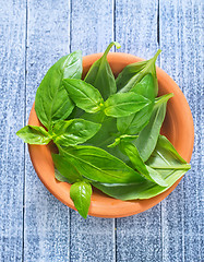 Image showing fresh basil