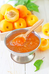 Image showing fresh apricots and gam