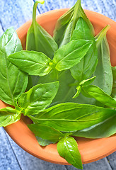 Image showing fresh basil