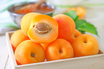 Image showing fresh apricots and gam