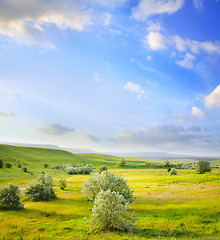 Image showing nature background