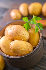 Image showing potato