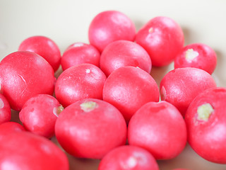 Image showing Radish vegetable 