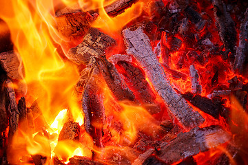 Image showing burning fire