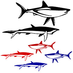 Image showing Set shark,  black and white outline. illustration.