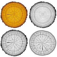 Image showing Set tree rings saw cut tree trunk background. 