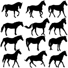 Image showing Set  silhouette of horse. illustration.