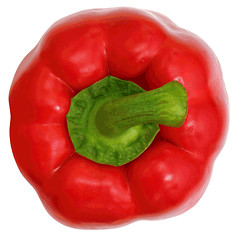 Image showing Red sweet  bell pepper isolated on white background. 