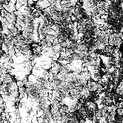 Image showing bark of birch in the cracks texture. illustration.