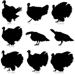 Image showing Silhouettes of turkeys. illustration.