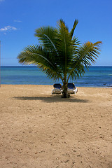 Image showing  palm lagoon and coastline