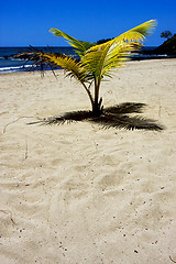 Image showing nosy be palm lagoon and coastline