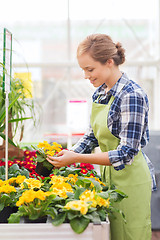 Image showing happy woman holding flowers in greenhouse