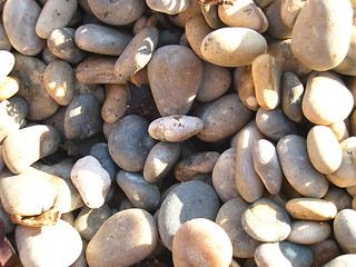 Image showing pebbles