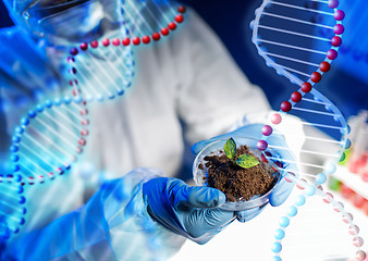 Image showing close up of scientist hands with plant and soil