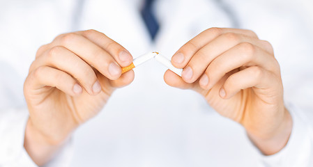 Image showing man breaking the cigarette with hands