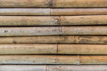 Image showing bamboo cane wall texture