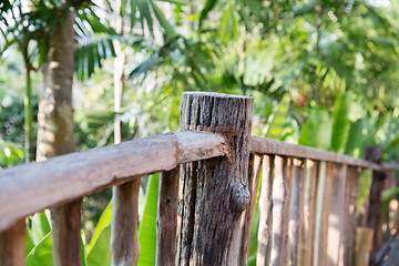 Image showing wooden fence at tropical woods or park