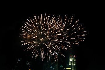 Image showing beautiful fireworks at night city sky