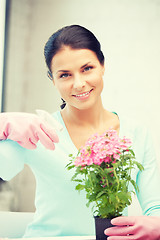 Image showing lovely housewife with flower