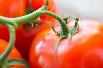 Image showing close up of ripe juicy red tomatoes