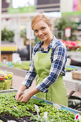 Image showing happy woman taking care of seedling in greenhouse