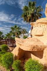 Image showing The tropical garden in Egypt.