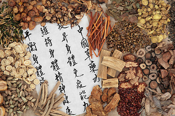 Image showing Chinese Herbal Health