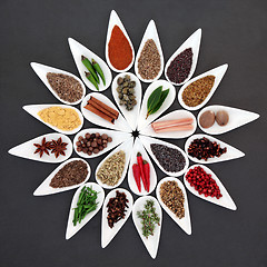 Image showing Herbs and Spices