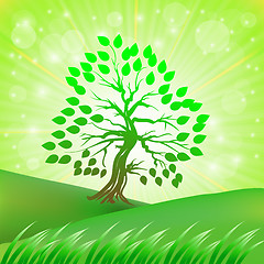 Image showing Green Tree