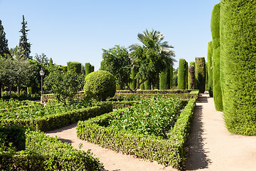 Image showing Italian Garden