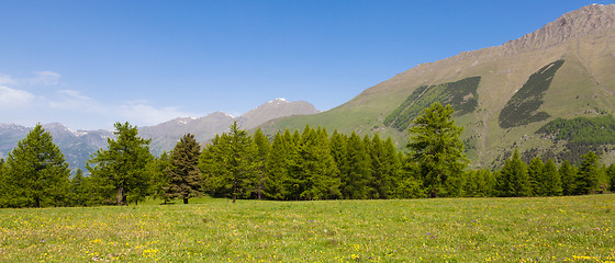 Image showing Italian Alps