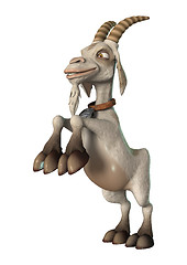 Image showing Goat