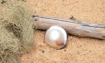 Image showing Pearl on beach