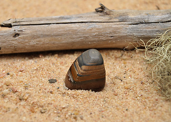 Image showing Tiger iron on beach