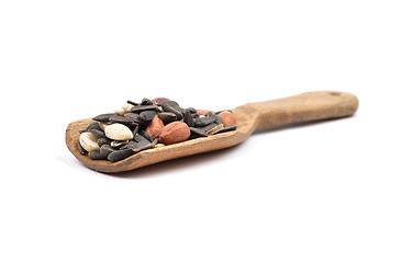 Image showing Bird seed on shovel