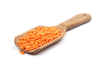 Image showing Red lentils on shovel