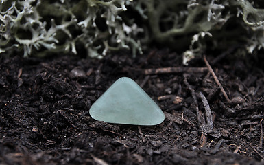 Image showing Topaz on forest floor