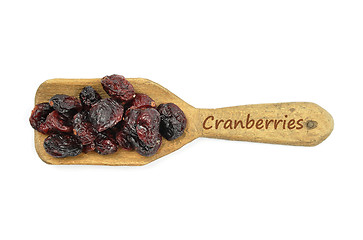 Image showing Dried cranberries on shovel