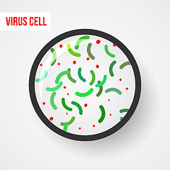 Image showing Anatomy of a bacterial cell