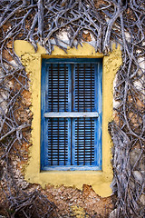Image showing zanzibar prison island and a old window closed