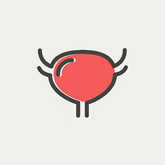 Image showing Uterus and ovaries thin line icon