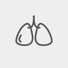 Image showing Lungs thin line icon